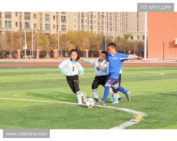 绿茵逐梦激情燃烧看世界足球如何点亮人类共同语言