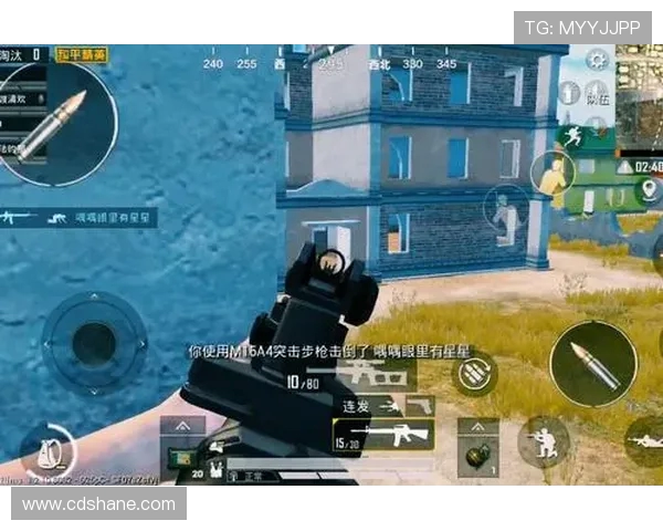 和平精英战术分析：深入解读FPX团队的包夹战术策略与应用